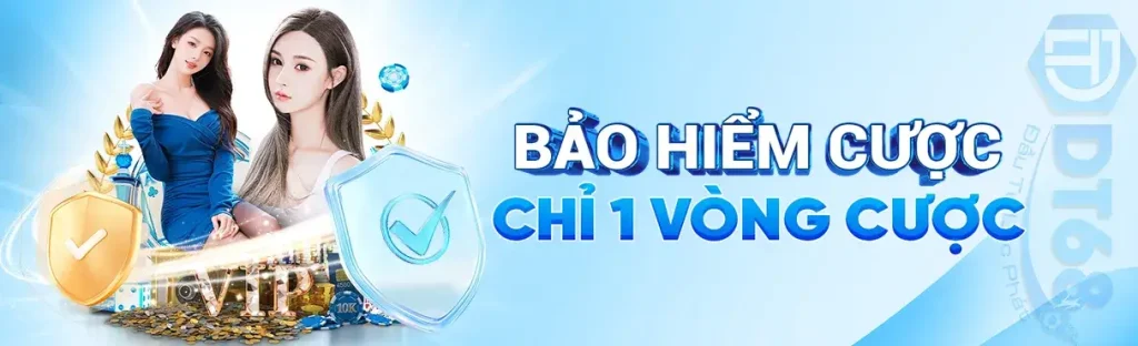 Bảo hiểm cược tại Dt68z